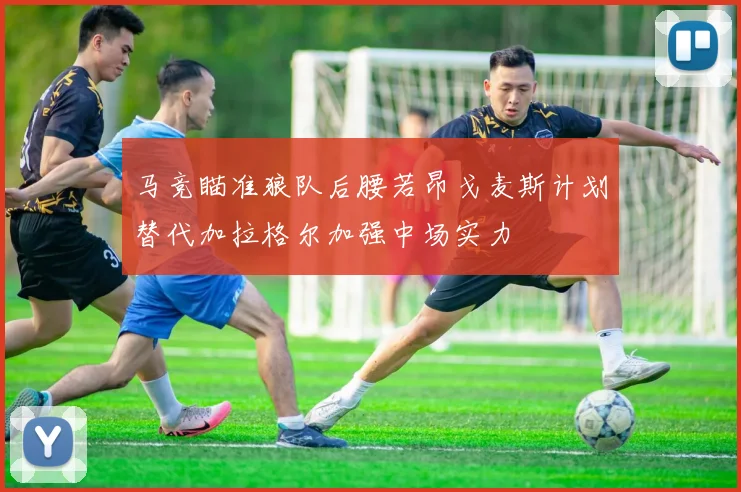 马竞瞄准狼队后腰若昂戈麦斯计划替代加拉格尔加强中场实力