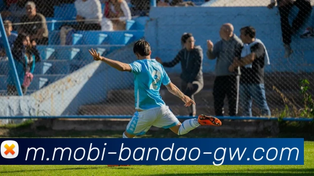 App Interface Preview