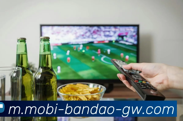 半岛体育APP 封面图